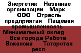 Энергетик › Название организации ­ Марк 4, ООО › Отрасль предприятия ­ Пищевая промышленность › Минимальный оклад ­ 1 - Все города Работа » Вакансии   . Татарстан респ.